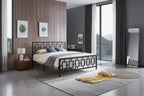 Claudia Iron Modern King-size Platform Bed Frame by Christopher Knight Home